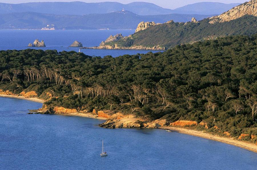 Hotel Le Mediterranee Hyeres Bagian luar foto