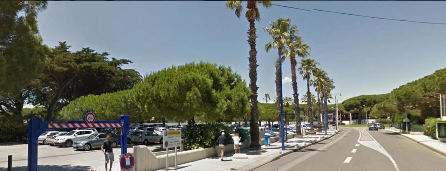 Hotel Le Mediterranee Hyeres Bagian luar foto